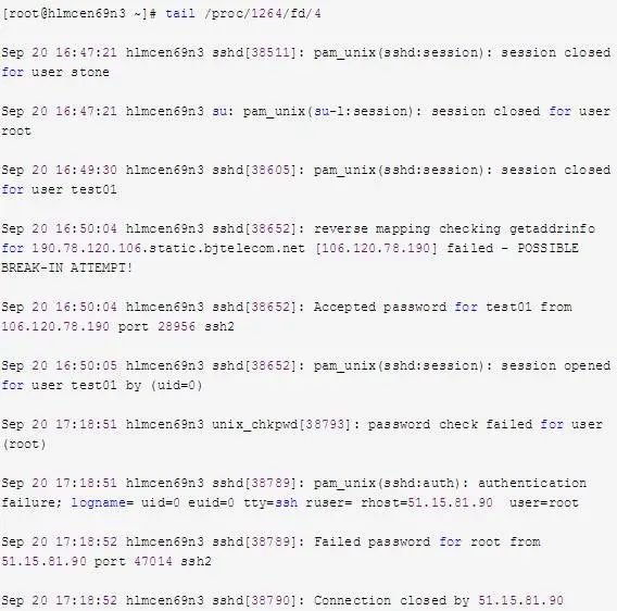 睿智創新RAIZ,一體化IT服務提供商 圖片