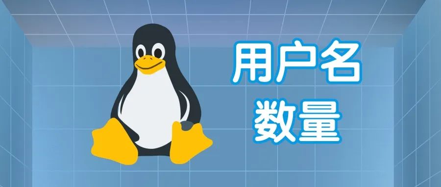 null 睿智創新RAIZ,一體化IT服務提供商