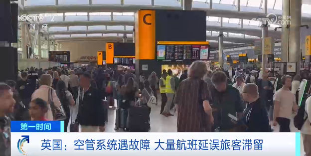 睿智創新RAIZ,一體化IT服務提供商 睿智創新RAIZ,一體化IT服務提供商