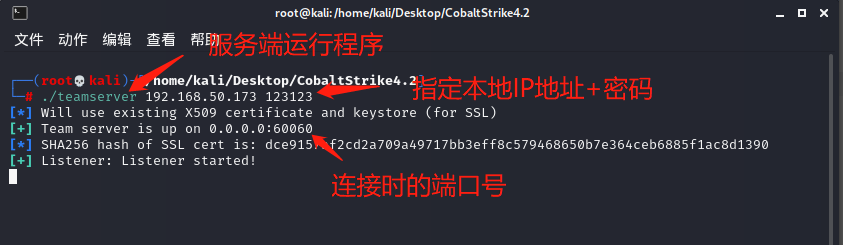 睿智創新RAIZ，一體化IT服務提供商