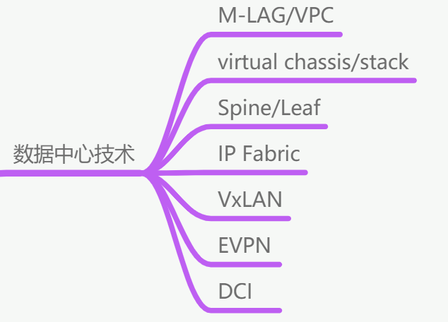 睿智創新RAIZ，一體化IT服務提供商