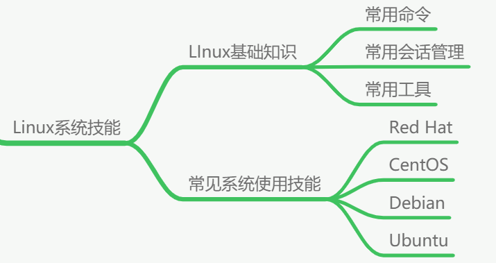 睿智創新RAIZ，一體化IT服務提供商